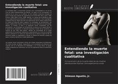 Capa do livro de Entendiendo la muerte fetal: una investigación cualitativa 