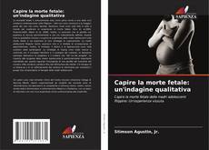 Buchcover von Capire la morte fetale: un'indagine qualitativa