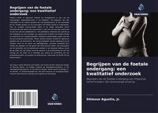 Copertina di Begrijpen van de foetale ondergang: een kwalitatief onderzoek
