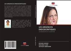 Bookcover of LES URGENCES ENDODONTIQUES