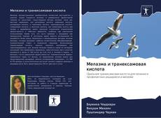 Buchcover von Мелазма и транексамовая кислота