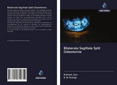 Portada del libro de Bilaterale Sagittale Split Osteotomie