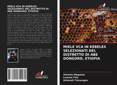 MIELE VCA IN KEBELES SELEZIONATI DEL DISTRETTO DI ABE DONGORO, ETIOPIA的封面