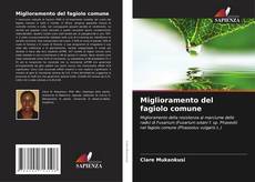 Bookcover of Miglioramento del fagiolo comune