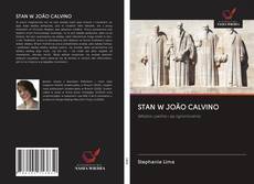STAN W JOÃO CALVINO kitap kapağı