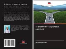 Bookcover of Le dilemme de la jeunesse nigériane