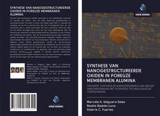 Copertina di SYNTHESE VAN NANOGESTRUCTUREERDE OXIDEN IN POREUZE MEMBRANEN ALUMINA