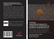 Buchcover von SYNTEZA NANOSTRUKTURALNYCH TLENKÓW W POROWATYCH BŁONACH KORUNDOWYCH