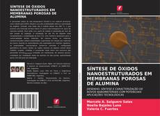 Обложка SÍNTESE DE ÓXIDOS NANOESTRUTURADOS EM MEMBRANAS POROSAS DE ALUMINA