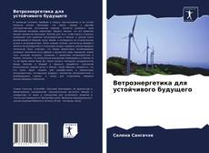 Bookcover of Ветроэнергетика для устойчивого будущего