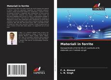 Bookcover of Materiali in ferrite