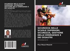 SICUREZZA NELLE SCUOLE SUPERIORI, SICUREZZA, GESTIONE DELLE EMERGENZE E DEI DISASTRI kitap kapağı