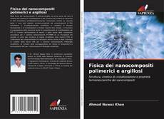 Fisica dei nanocompositi polimerici e argillosi的封面