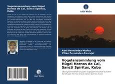 Couverture de Vogelansammlung vom Hügel Hornos de Cal, Sancti Spíritus, Kuba