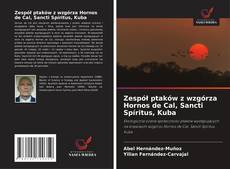 Zespół ptaków z wzgórza Hornos de Cal, Sancti Spíritus, Kuba kitap kapağı