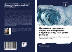 Обложка Динамика осадочных пород на побережье Сиди-Бу-Саид-Ла-Гулетт (Тунис)