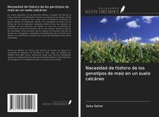Capa do livro de Necesidad de fósforo de los genotipos de maíz en un suelo calcáreo 