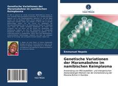 Genetische Variationen der Maramabohne im namibischen Keimplasma的封面