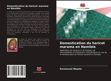 Capa do livro de Domestication du haricot marama en Namibie 