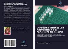 Bookcover of Genetische variaties van marmaboon in het Namibische kiemplasma