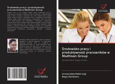 Buchcover von Środowisko pracy i produktywność pracowników w Madhivan Group