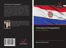 6 Konstytucji Paragwajskich kitap kapağı
