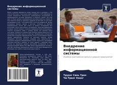 Buchcover von Внедрение информационной системы