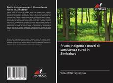 Buchcover von Frutta indigena e mezzi di sussistenza rurali in Zimbabwe