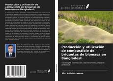 Copertina di Producción y utilización de combustible de briquetas de biomasa en Bangladesh