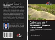 Bookcover of Produzione e uso di combustibile per bricchette di biomassa in Bangladesh