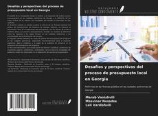 Bookcover of Desafíos y perspectivas del proceso de presupuesto local en Georgia