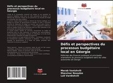 Borítókép a  Défis et perspectives du processus budgétaire local en Géorgie - hoz