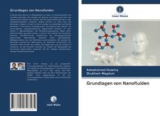 Portada del libro de Grundlagen von Nanofluiden