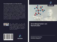Capa do livro de Grondbeginselen van Nanofluïden 