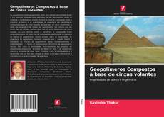 Bookcover of Geopolímeros Compostos à base de cinzas volantes