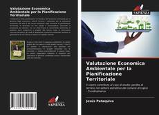 Обложка Valutazione Economica Ambientale per la Pianificazione Territoriale