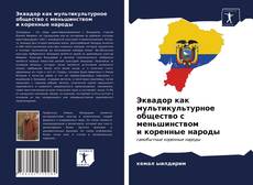 Copertina di Эквадор как мультикультурное общество с меньшинством и коренные народы