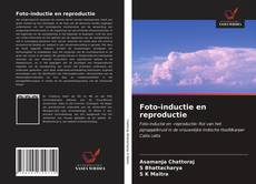 Bookcover of Foto-inductie en reproductie