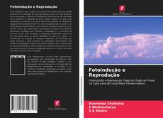 Buchcover von Fotoindução e Reprodução