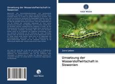 Bookcover of Umsetzung der Wasserstoffwirtschaft in Slowenien