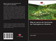 Capa do livro de Mise en œuvre de l'économie de l'hydrogène en Slovénie 