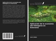 Bookcover of Aplicación de la economía del hidrógeno en Eslovenia