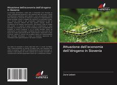 Buchcover von Attuazione dell'economia dell'idrogeno in Slovenia