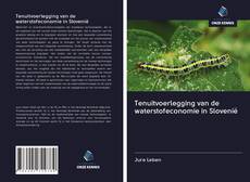 Tenuitvoerlegging van de waterstofeconomie in Slovenië kitap kapağı