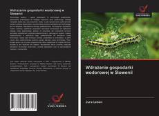 Portada del libro de Wdrażanie gospodarki wodorowej w Słowenii