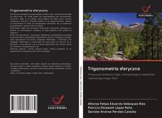 Bookcover of Trigonometria sferyczna