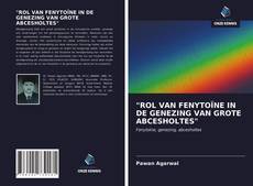 Bookcover of "ROL VAN FENYTOÏNE IN DE GENEZING VAN GROTE ABCESHOLTES"