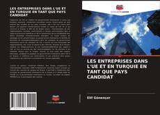 LES ENTREPRISES DANS L'UE ET EN TURQUIE EN TANT QUE PAYS CANDIDAT的封面