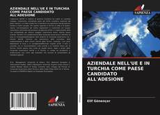 Copertina di AZIENDALE NELL'UE E IN TURCHIA COME PAESE CANDIDATO ALL'ADESIONE