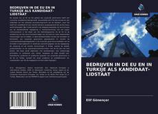 Buchcover von BEDRIJVEN IN DE EU EN IN TURKIJE ALS KANDIDAAT-LIDSTAAT